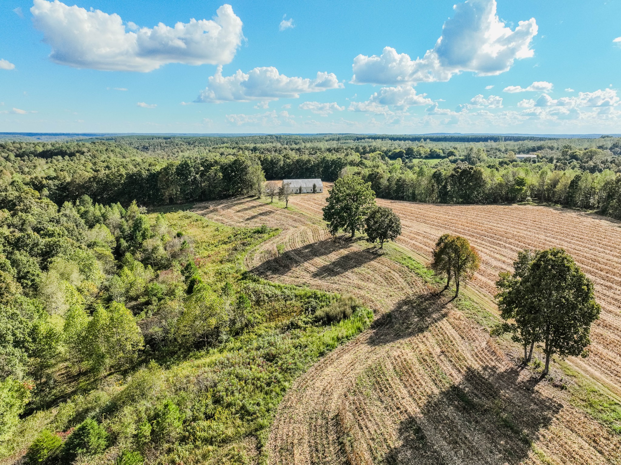 0 South Randall Road Westpoint, TN 38486 - Photo 11 of 79