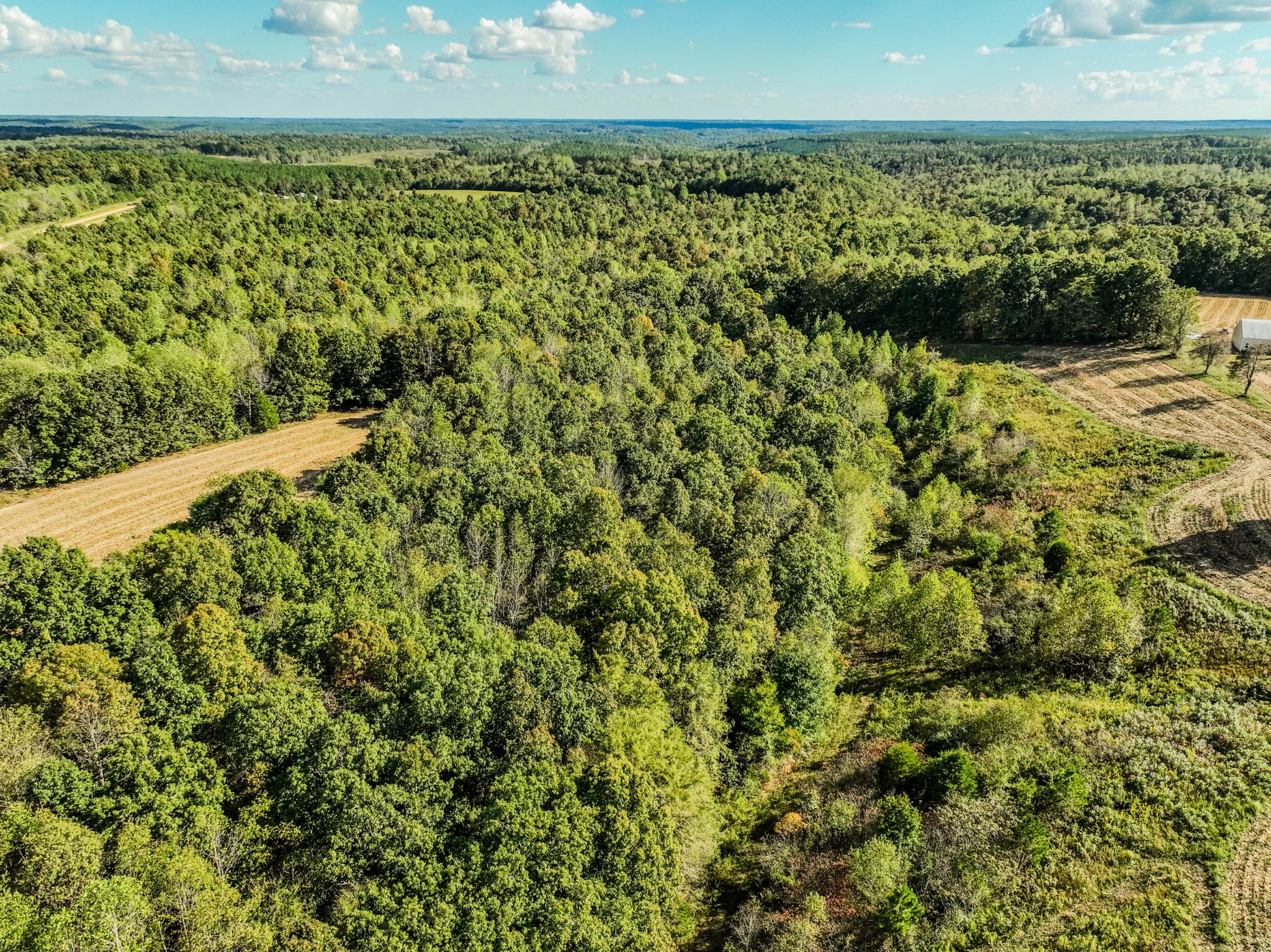 0 South Randall Road Westpoint, TN 38486 - Photo 12 of 79 a view of a yard with an outdoor space