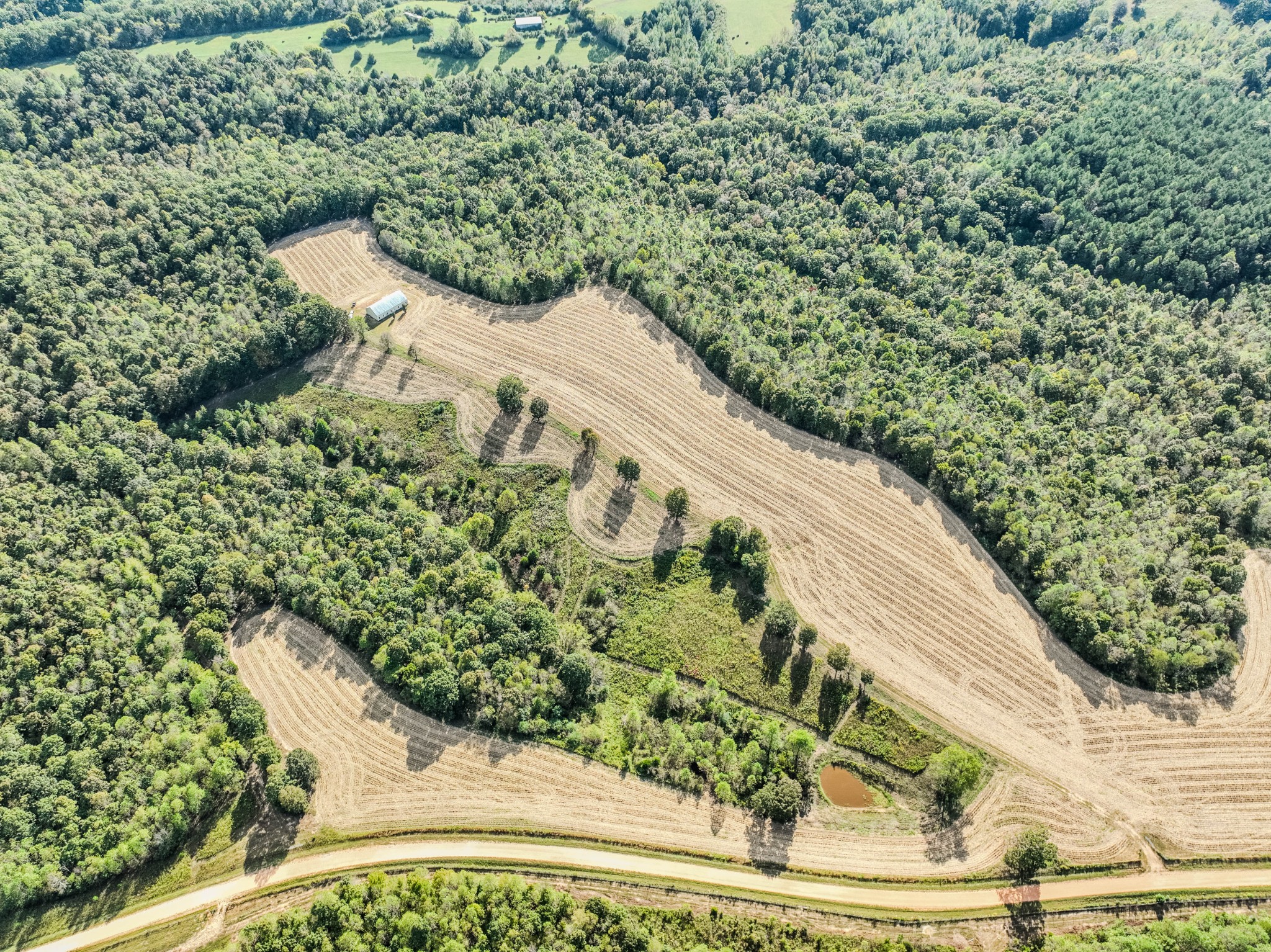 0 South Randall Road Westpoint, TN 38486 - Photo 15 of 79