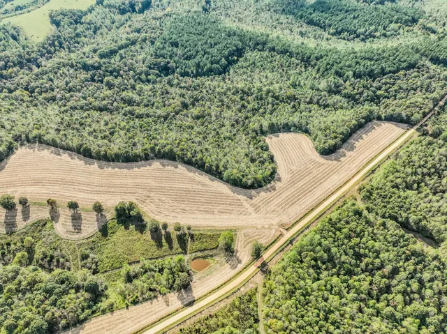 a view of park with iron fence