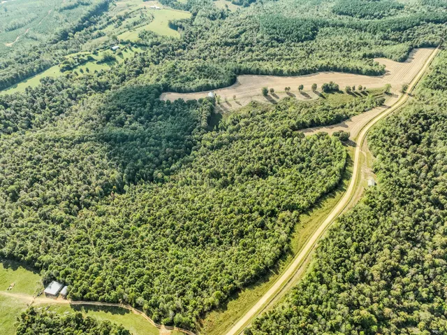a view of an ocean beach