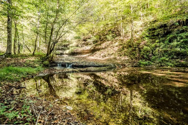 $1,300,000 | 0 South Randall Road, Westpoint, TN 38486