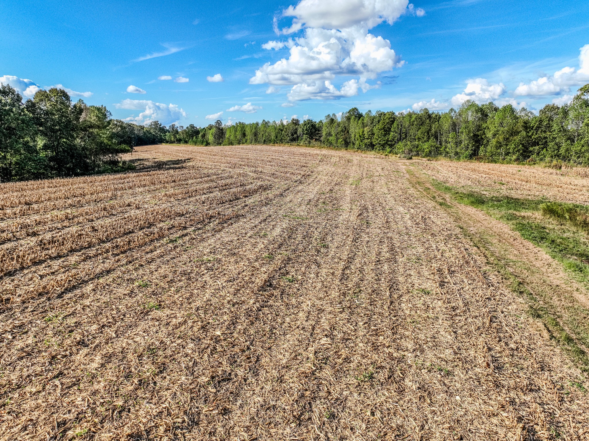 0 South Randall Road Westpoint, TN 38486 - Photo 23 of 79 a view of an outdoor space and a lake view