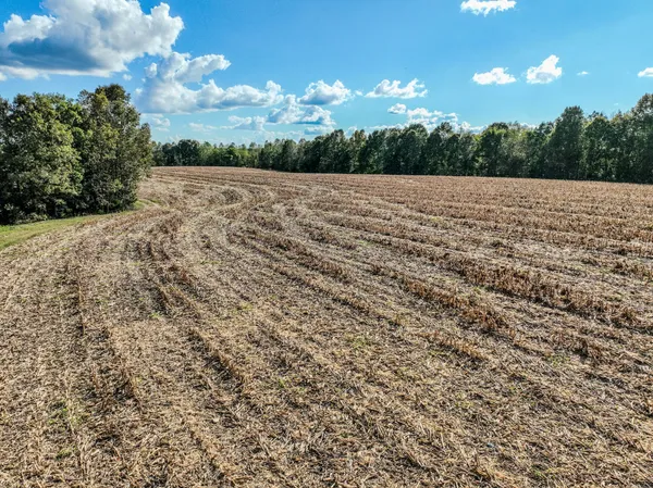 $1,300,000 | 0 South Randall Road, Westpoint, TN 38486