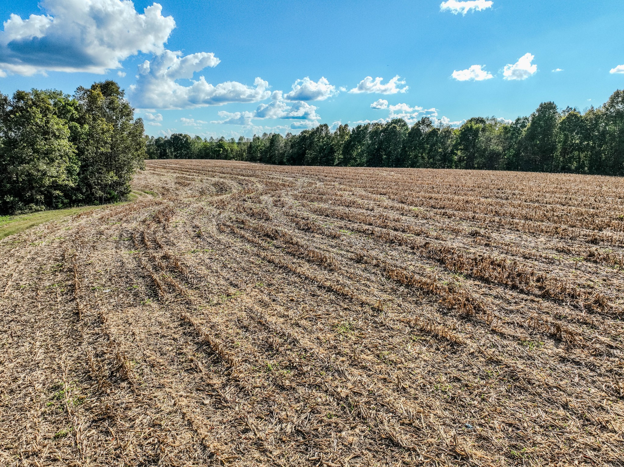 0 South Randall Road Westpoint, TN 38486 - Photo 24 of 79 a view of patio with green space