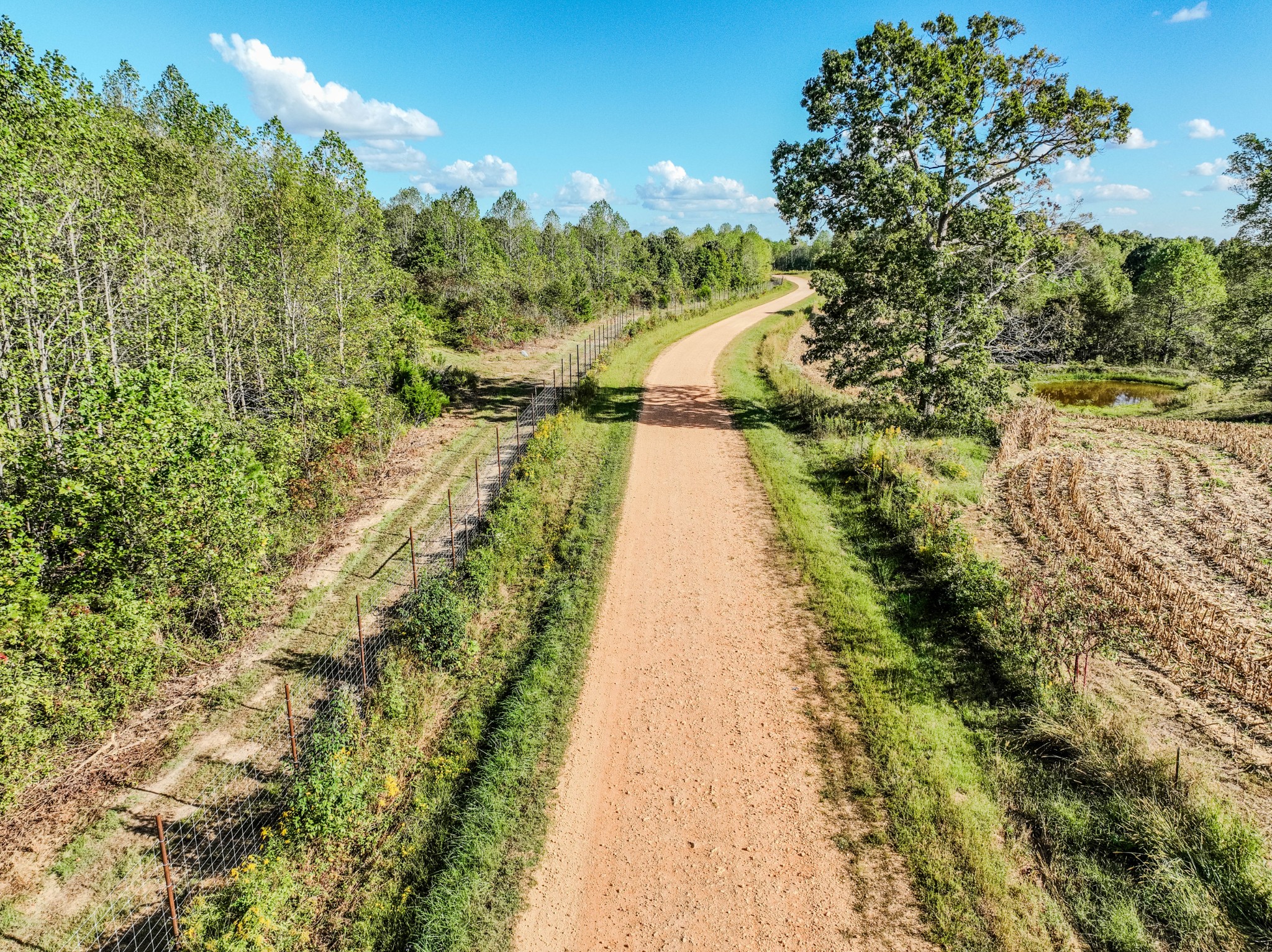 0 South Randall Road Westpoint, TN 38486 - Photo 26 of 79 a view of a yard with plants and large trees