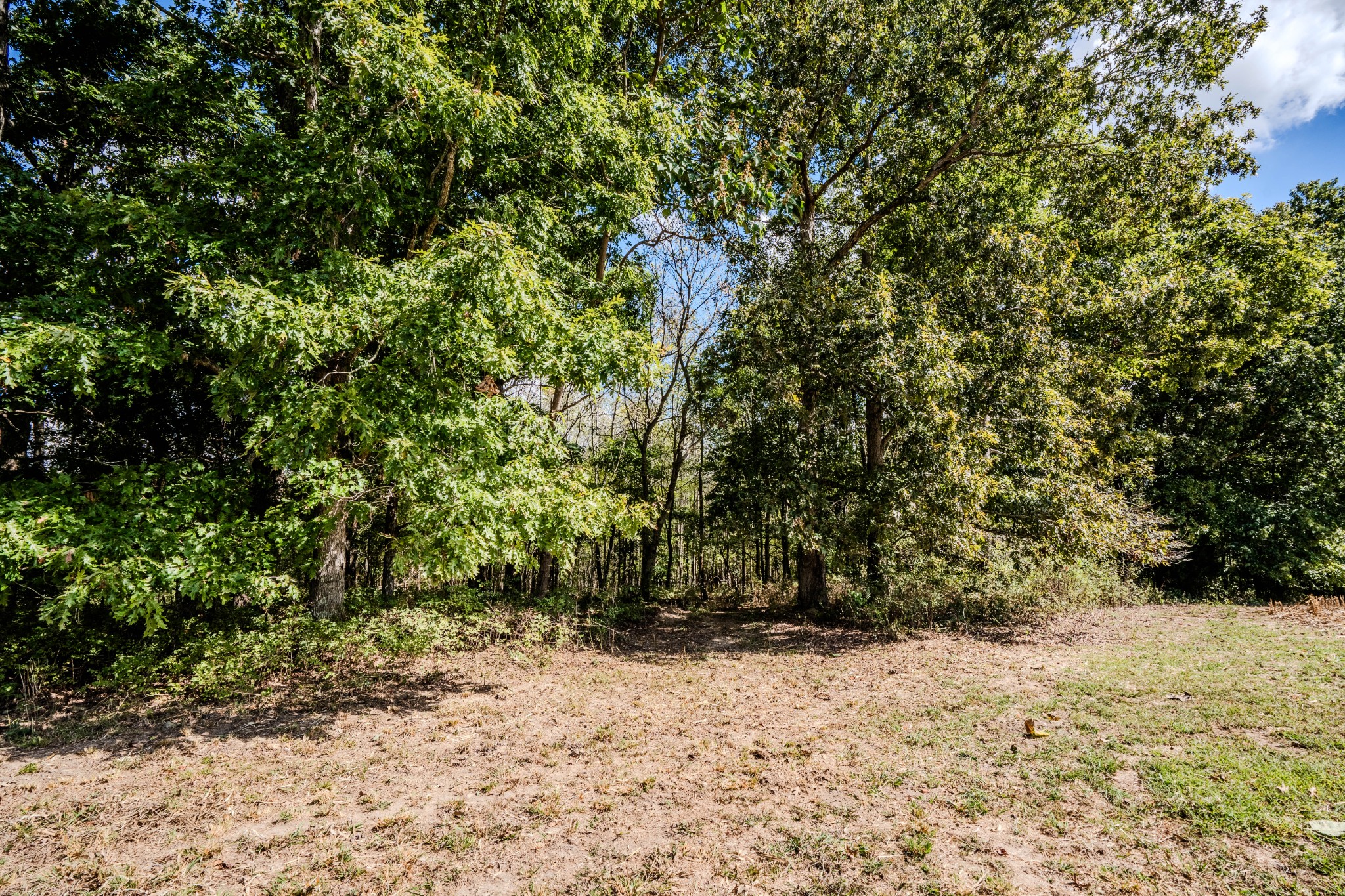 0 South Randall Road Westpoint, TN 38486 - Photo 29 of 79 a view of a yard with a tree