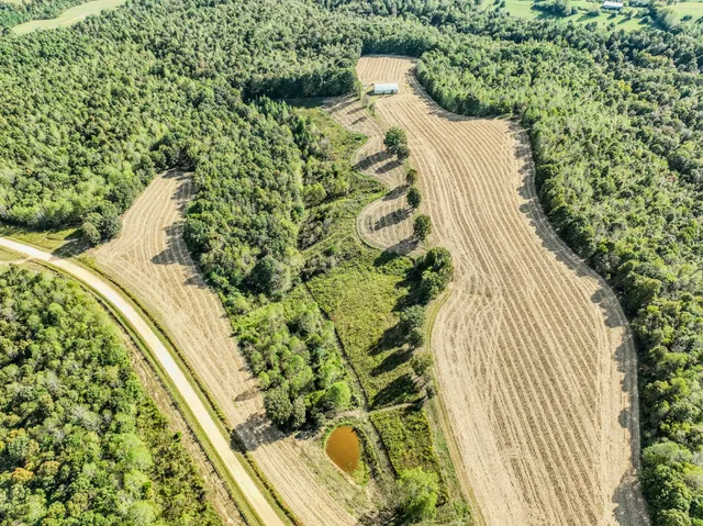 a view of a yard with plants