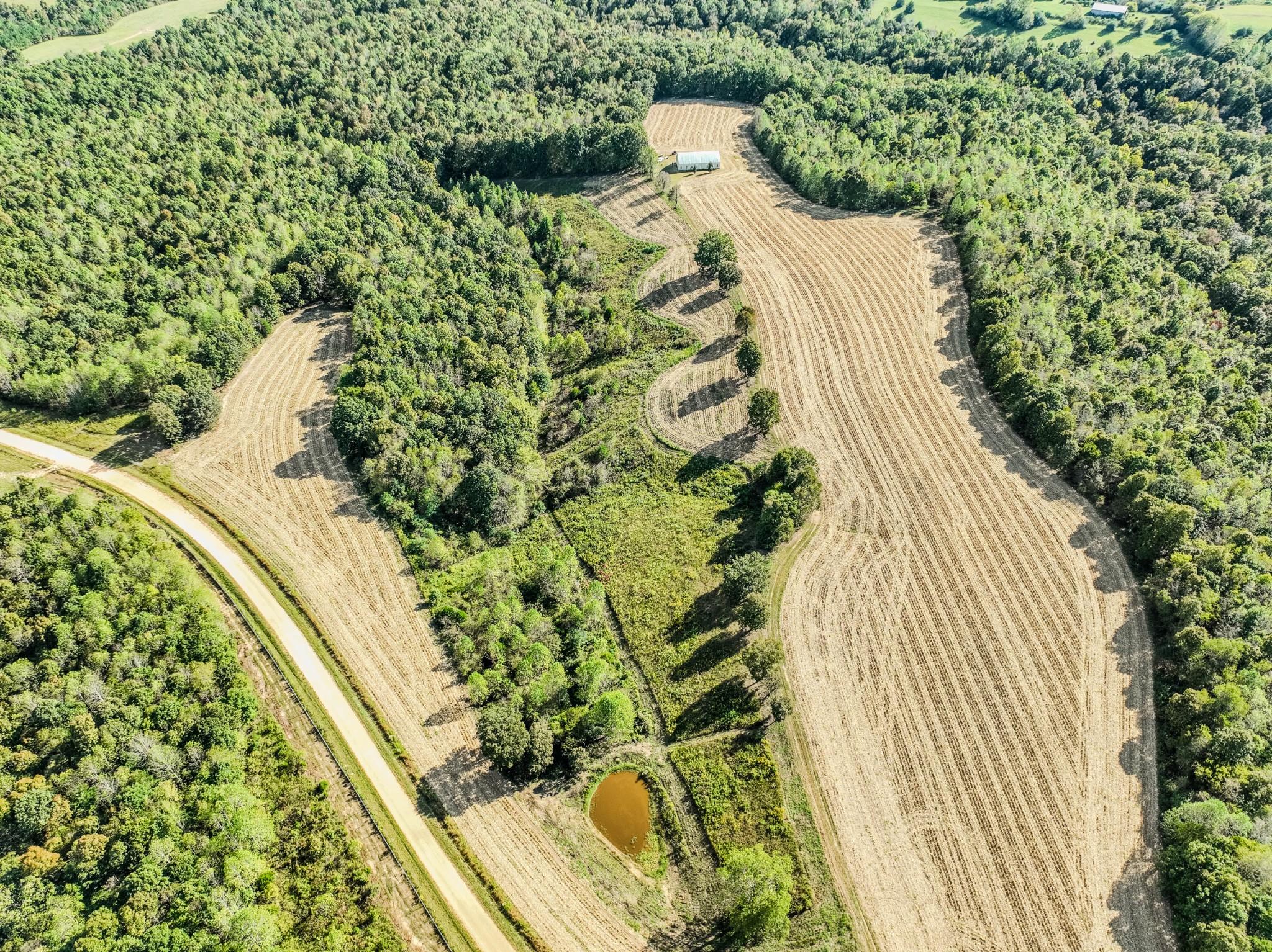 0 South Randall Road Westpoint, TN 38486 - Photo 4 of 79 a view of a yard with plants