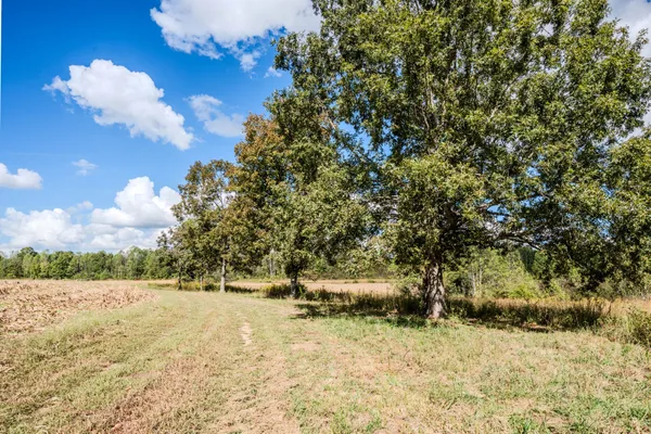 $1,300,000 | 0 South Randall Road, Westpoint, TN 38486