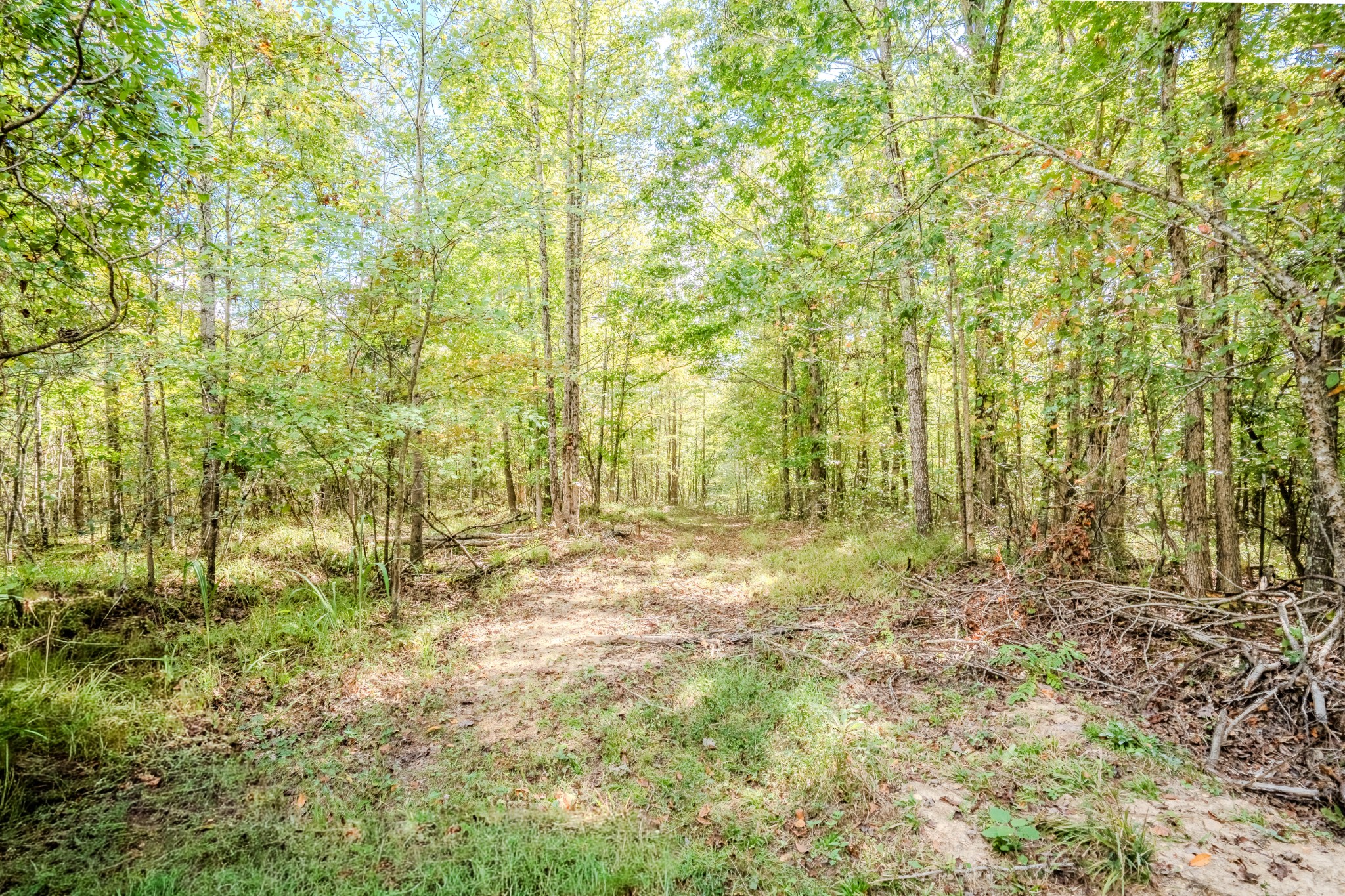 0 South Randall Road Westpoint, TN 38486 - Photo 54 of 79