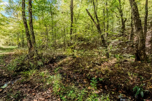 $1,300,000 | 0 South Randall Road, Westpoint, TN 38486