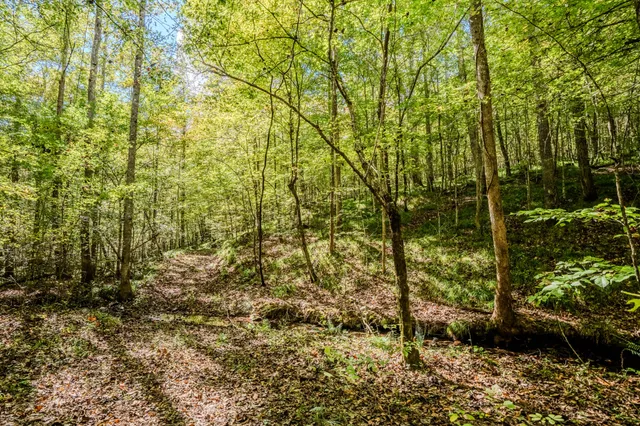 $1,300,000 | 0 South Randall Road, Westpoint, TN 38486