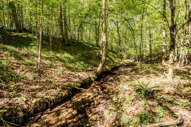 $1,300,000 | 0 South Randall Road, Westpoint, TN 38486