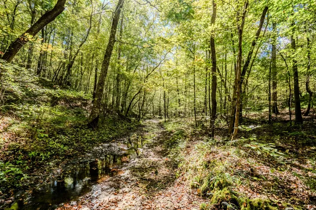 $1,300,000 | 0 South Randall Road, Westpoint, TN 38486