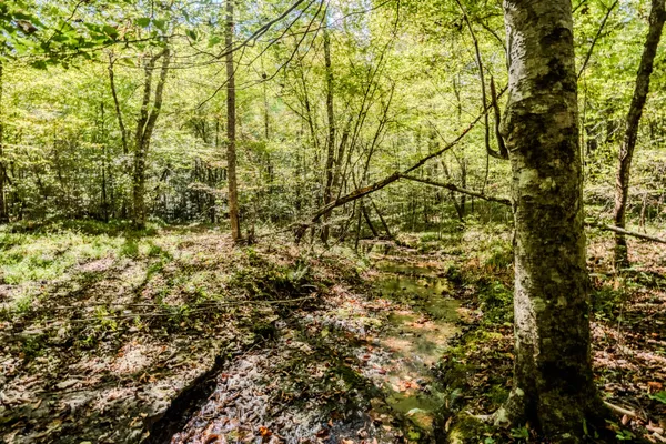 $1,300,000 | 0 South Randall Road, Westpoint, TN 38486