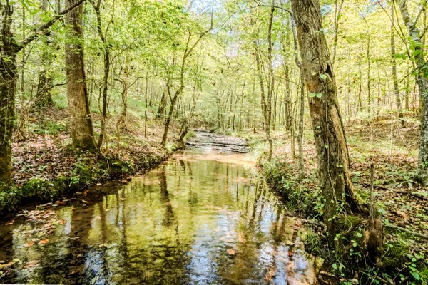 $1,300,000 | 0 South Randall Road, Westpoint, TN 38486