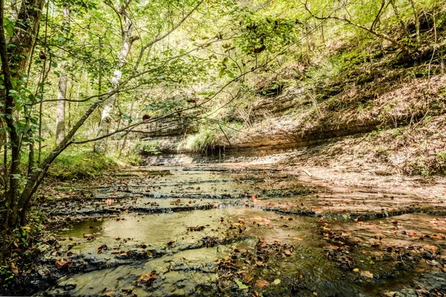 $1,300,000 | 0 South Randall Road, Westpoint, TN 38486