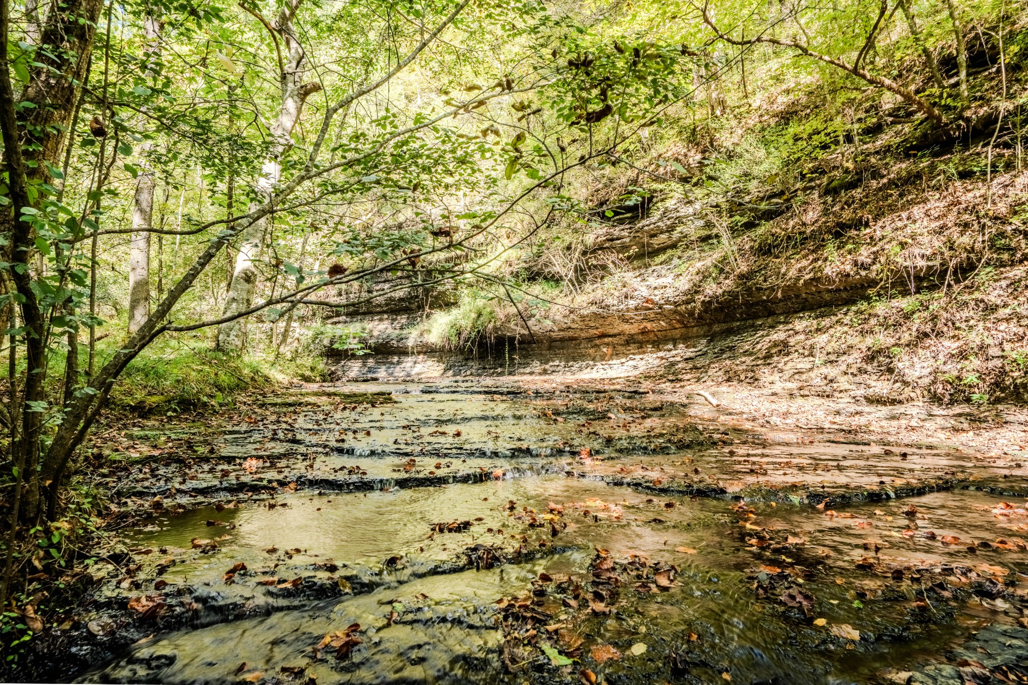 0 South Randall Road Westpoint, TN 38486 - Photo 64 of 79