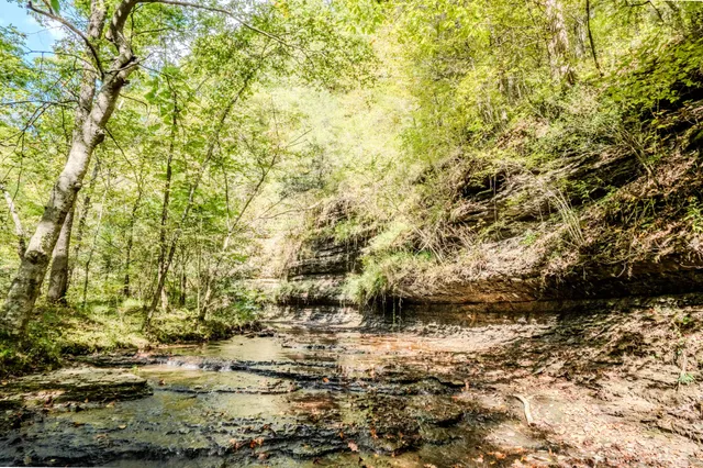 $1,300,000 | 0 South Randall Road, Westpoint, TN 38486