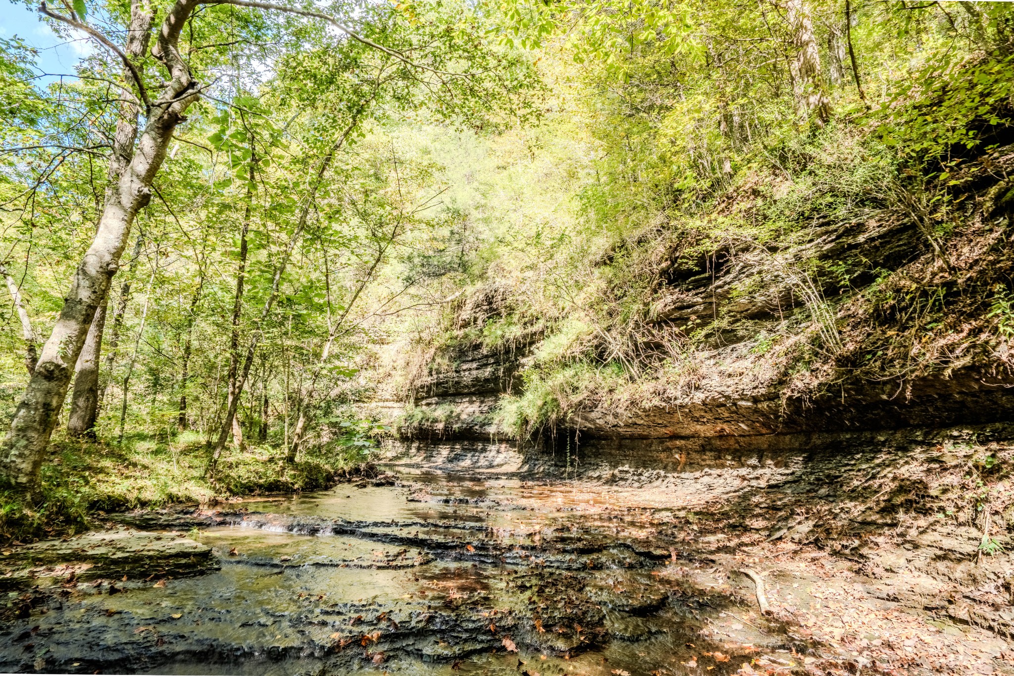 0 South Randall Road Westpoint, TN 38486 - Photo 65 of 79 a view of outdoor space with wooden floor