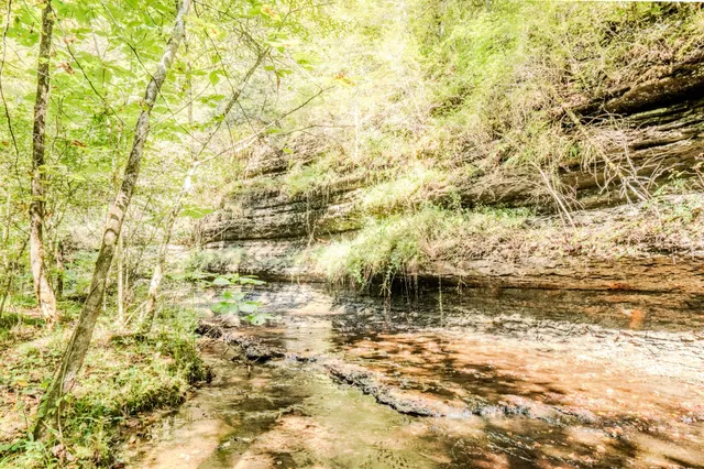 $1,300,000 | 0 South Randall Road, Westpoint, TN 38486