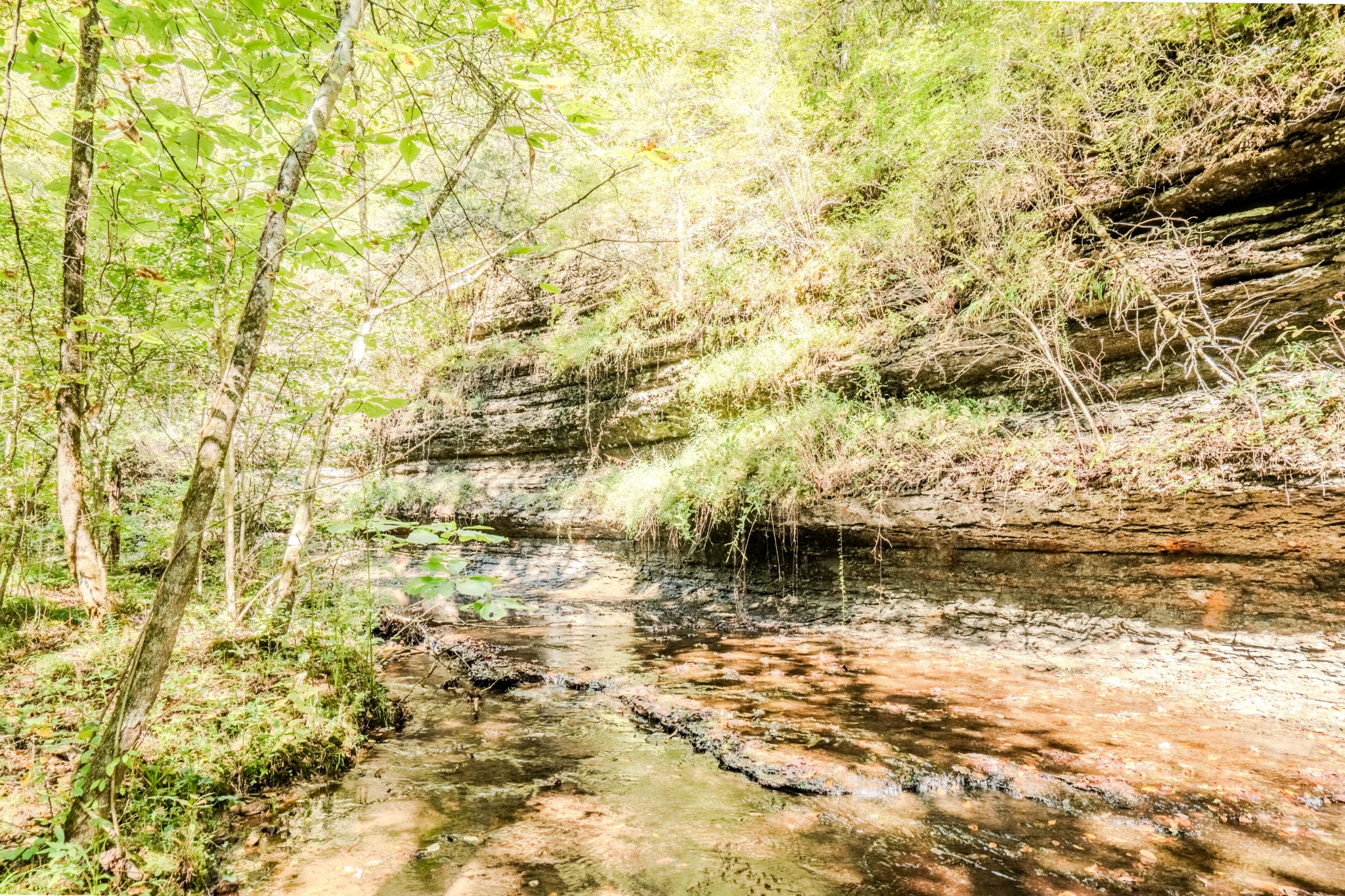 0 South Randall Road Westpoint, TN 38486 - Photo 66 of 79 a balcony with a bench