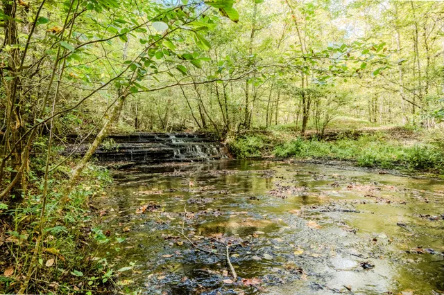 $1,300,000 | 0 South Randall Road, Westpoint, TN 38486