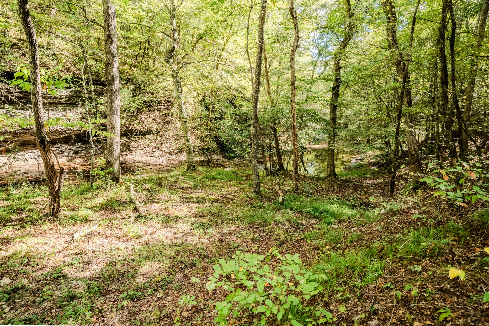 0 South Randall Road Westpoint, TN 38486 - Photo 69 of 79