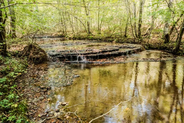 $1,300,000 | 0 South Randall Road, Westpoint, TN 38486