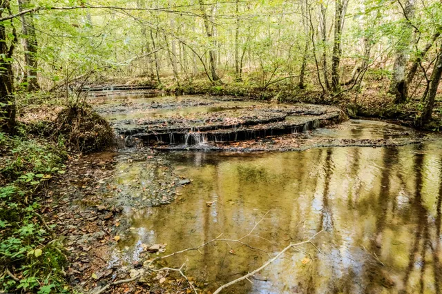 $1,300,000 | 0 South Randall Road, Westpoint, TN 38486