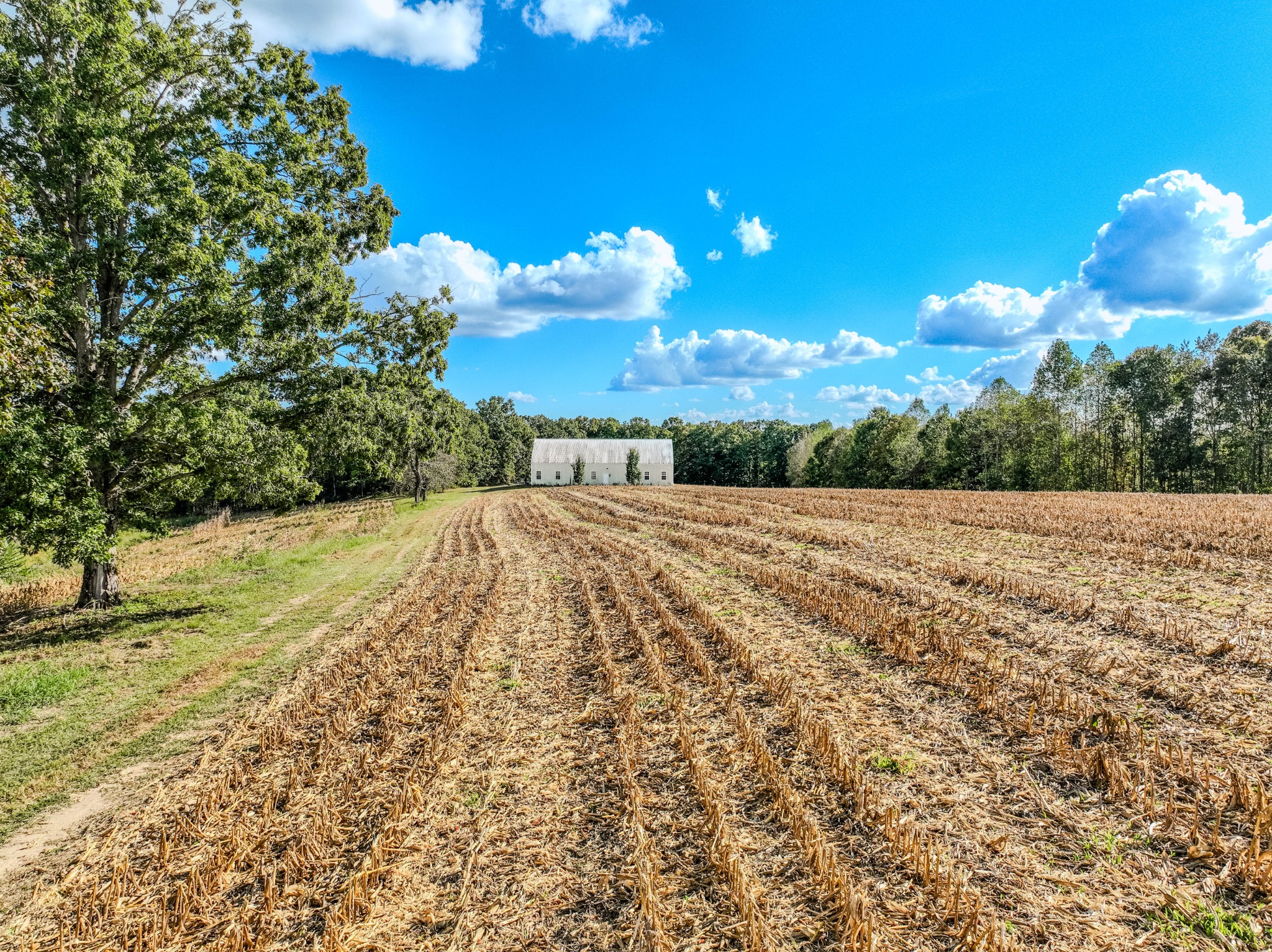 0 South Randall Road Westpoint, TN 38486 - Photo 7 of 79 a view of a backyard of the house