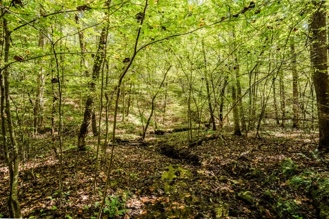 $1,300,000 | 0 South Randall Road, Westpoint, TN 38486