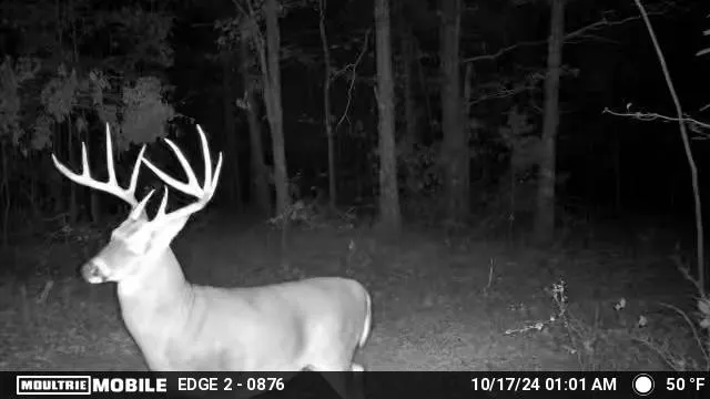 $1,300,000 | 0 South Randall Road, Westpoint, TN 38486