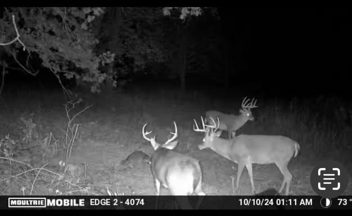 0 South Randall Road Westpoint, TN 38486 - Photo 78 of 79