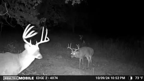 $1,300,000 | 0 South Randall Road, Westpoint, TN 38486