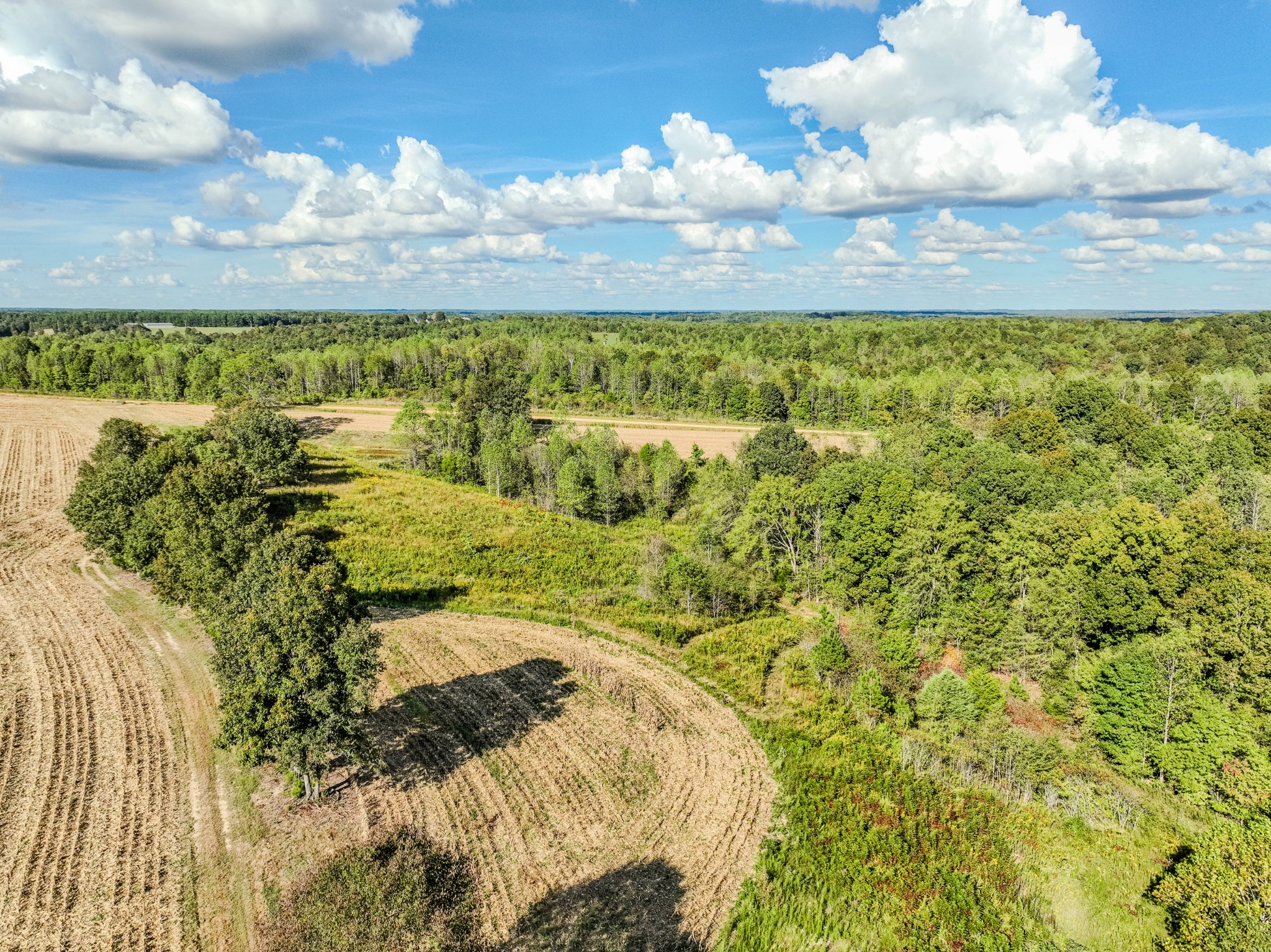0 South Randall Road Westpoint, TN 38486 - Photo 9 of 79 a view of a garden