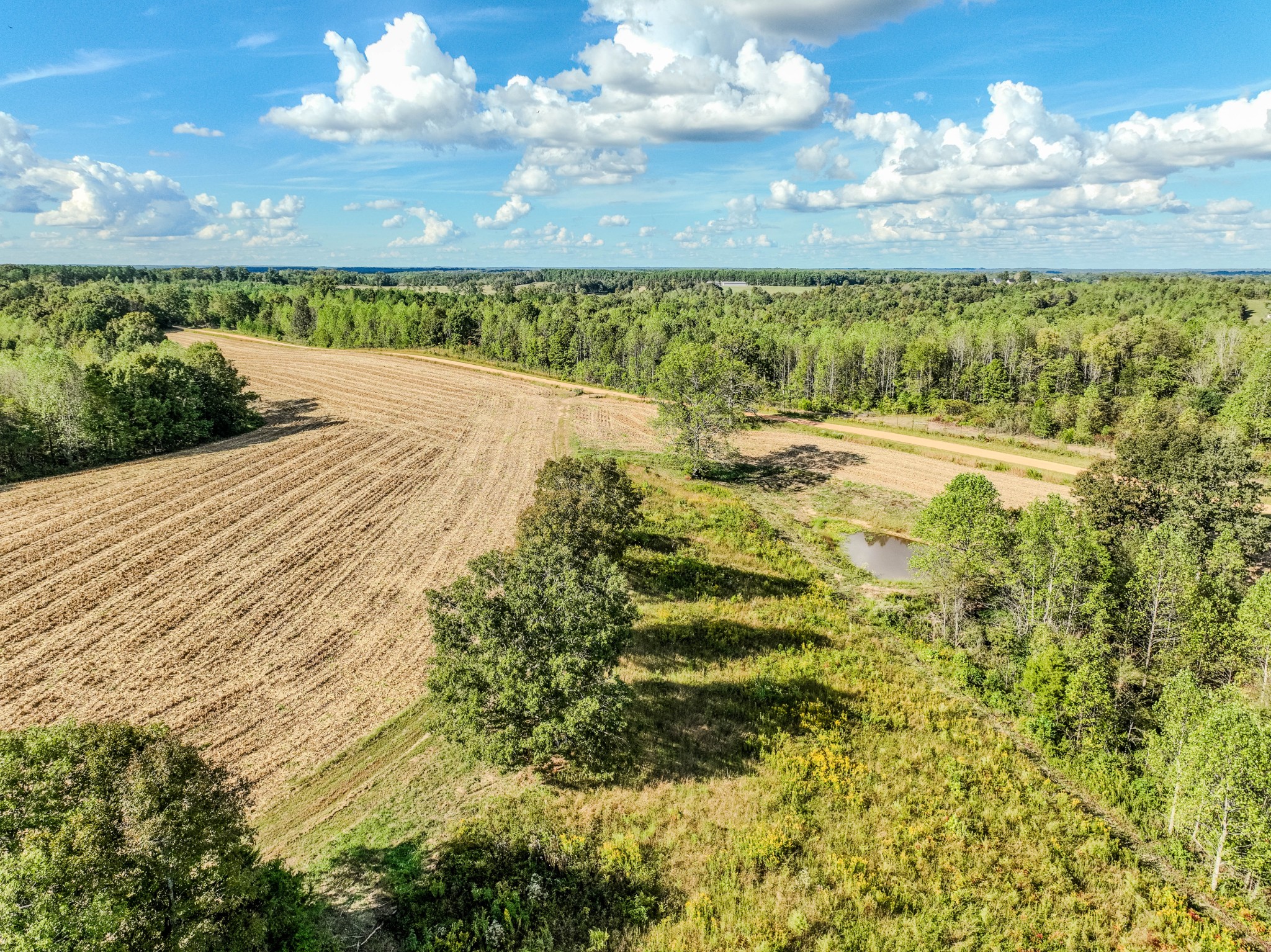 0 South Randall Road Westpoint, TN 38486 - Photo 10 of 79