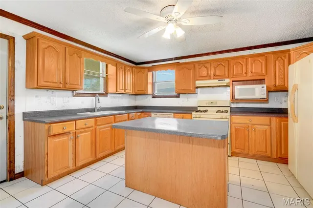 $102,000 | 1041 Washington Avenue, Madison, IL 62060