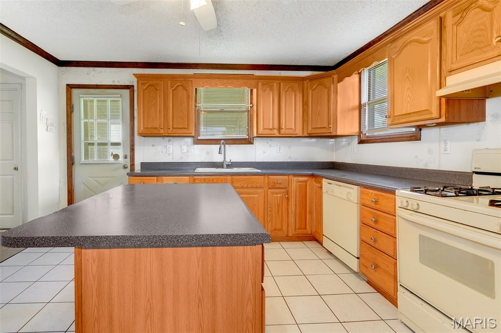 1041 Washington Avenue Madison, IL 62060 - Photo 15 of 20