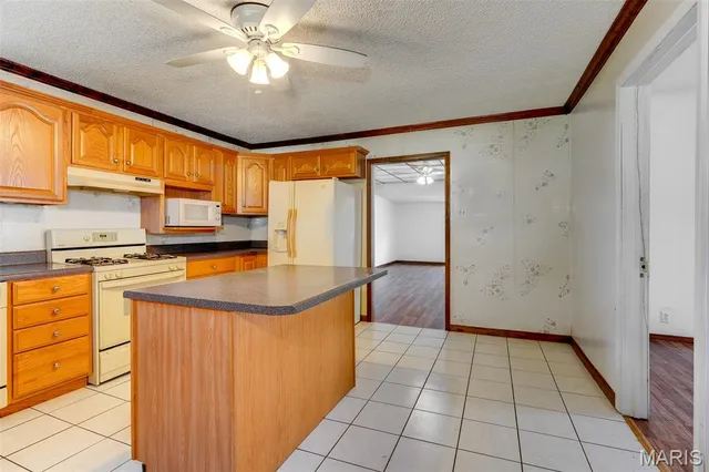 $102,000 | 1041 Washington Avenue, Madison, IL 62060