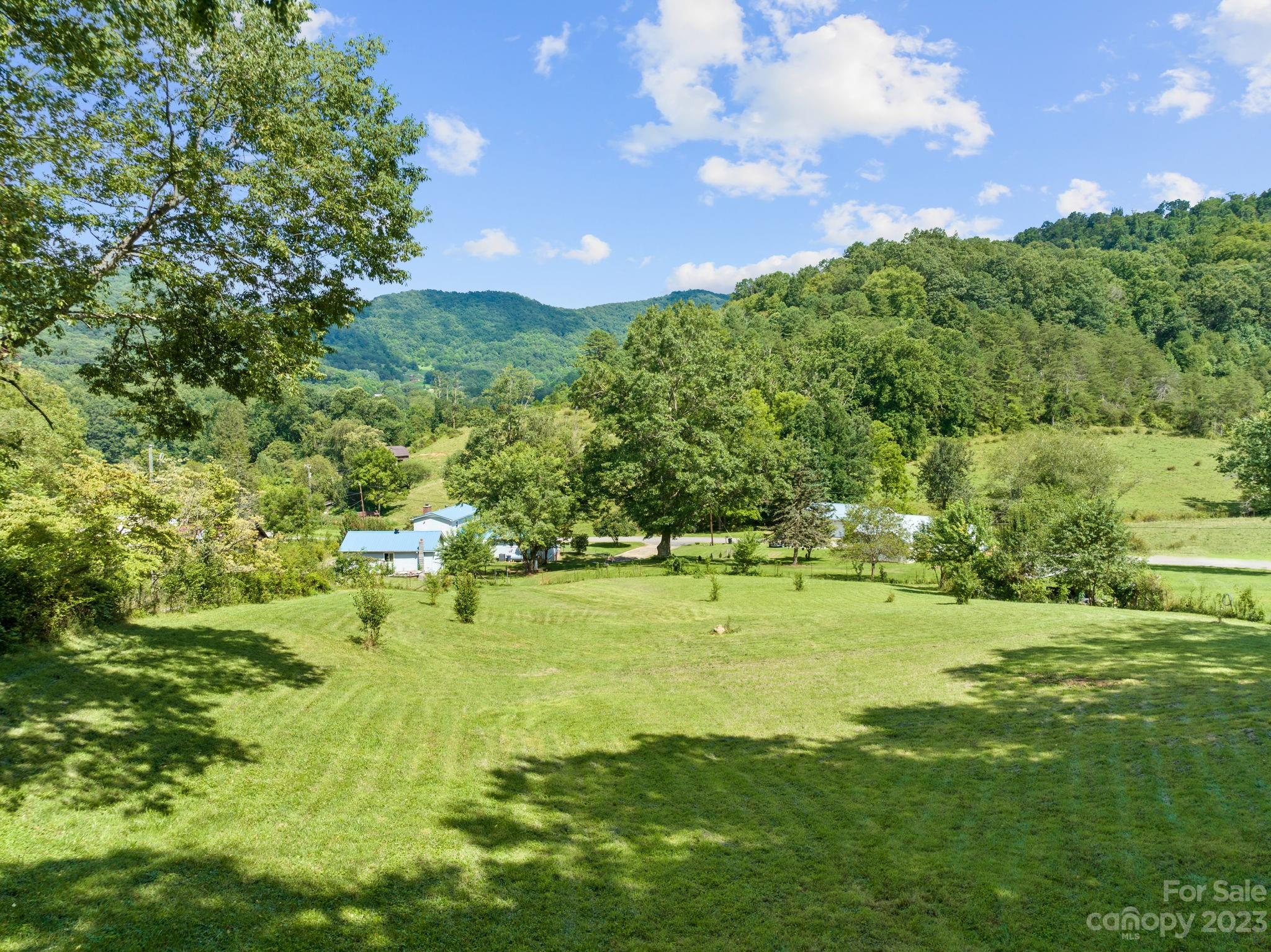 320 Wilson Branch Road Canton, NC 28716 - Photo 22 of 25 a view of yard with green space