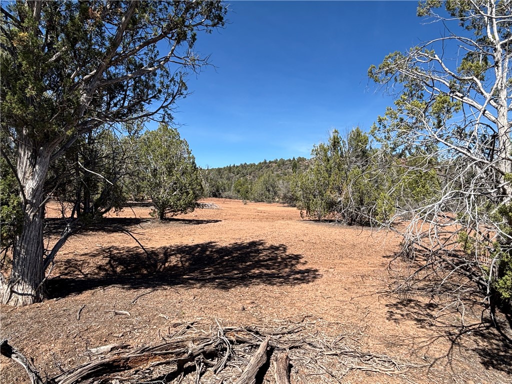 352-38-012 352-38-012 Badger Ridge Road Kingman, AZ 86401 - Photo 19 of 31