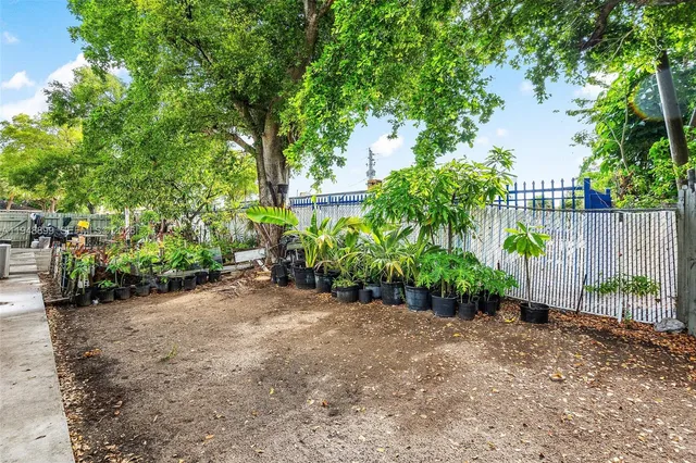 a view of a garden with plants and a bench under large trees