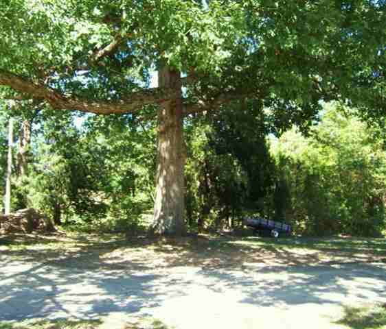 565 Forest Road Clinton, SC 29325 - Photo 11 of 12 Gallery Image 11