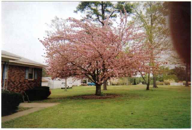 565 Forest Road Clinton, SC 29325 - Photo 12 of 12 Gallery Image 12