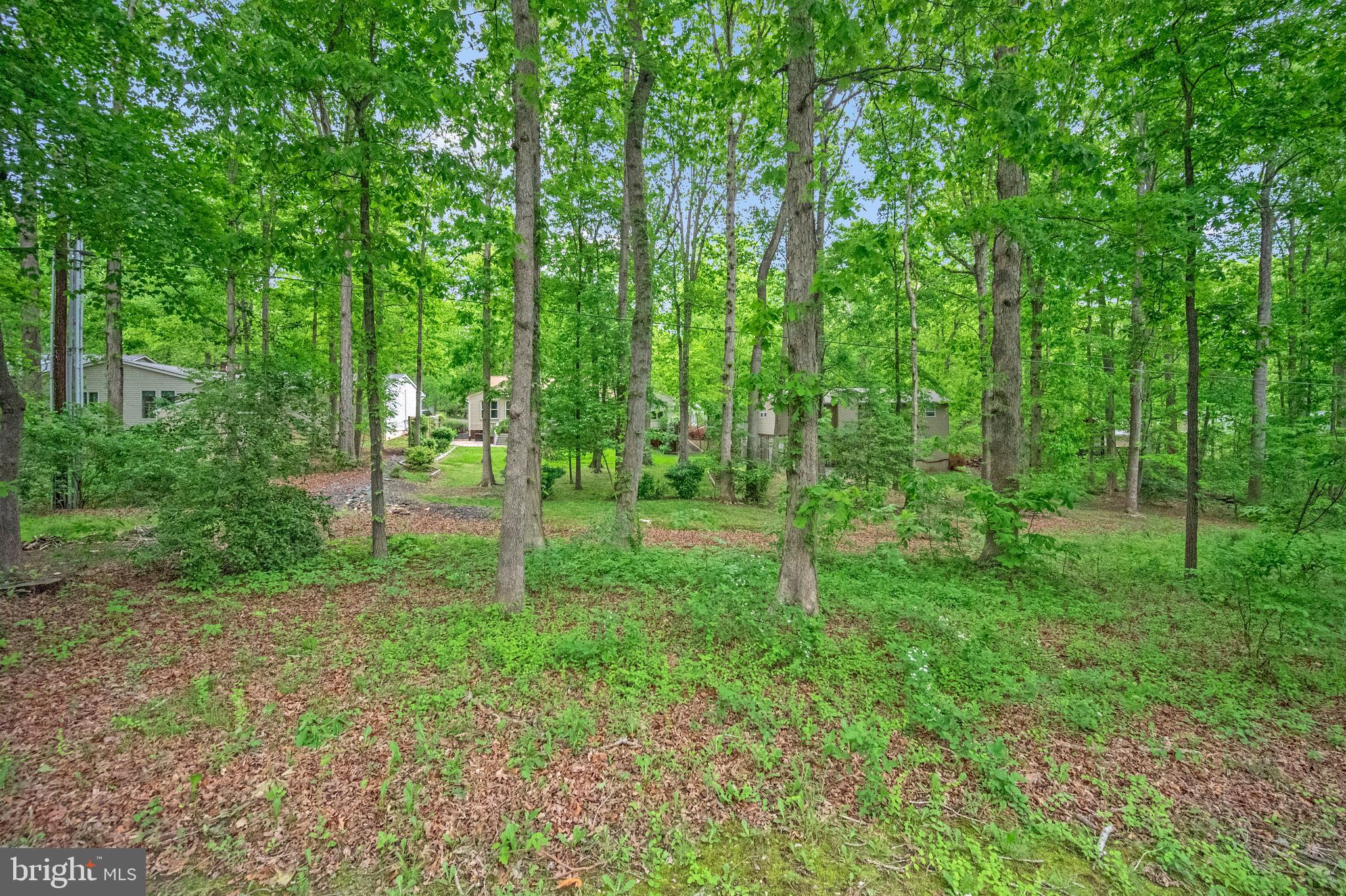 209 Birdie Road Locust Grove, VA 22508 - Photo 34 of 42 view into backyard