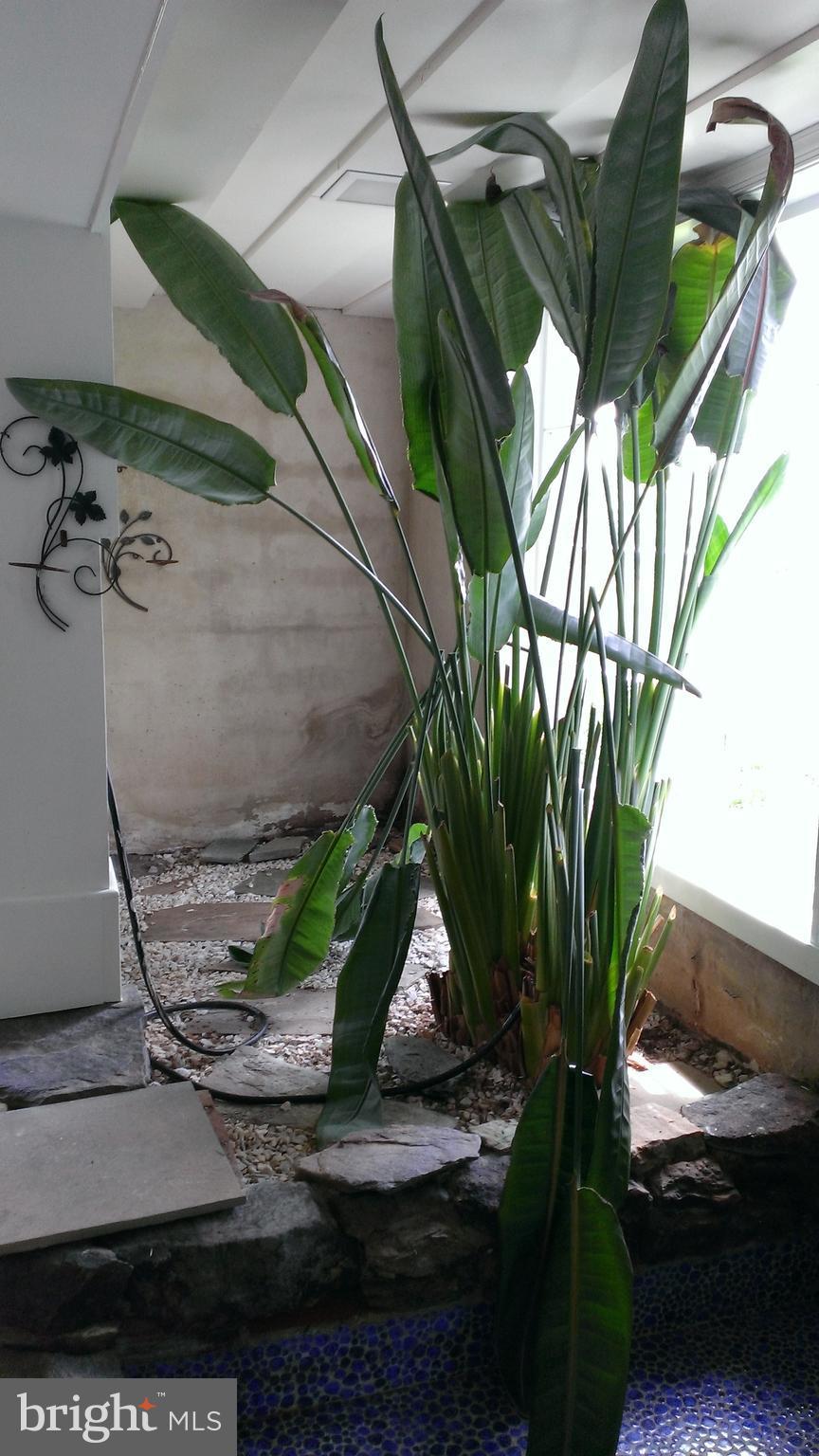 12321 Glen Mill Road Potomac, MD 20854 - Photo 13 of 18 Basement