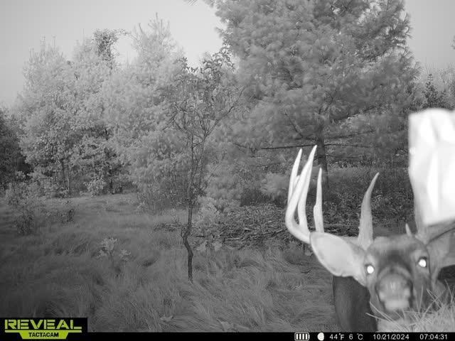 80-ac Freedom Wisconsin Dells, WI 53965 - Photo 11 of 42