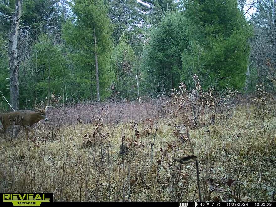 80-ac Freedom Wisconsin Dells, WI 53965 - Photo 13 of 42